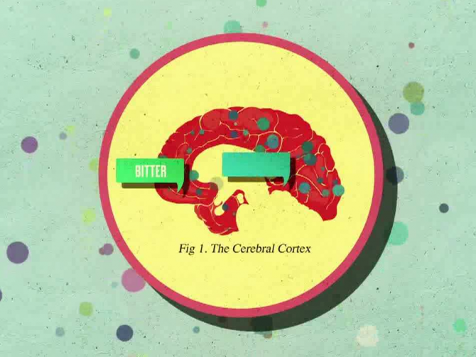 8 лучших медицинских видео от TED-Ed