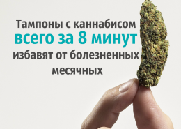 Против болезненных месячных предлагают тампоны с каннабисом