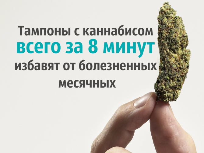Против болезненных месячных предлагают тампоны с каннабисом