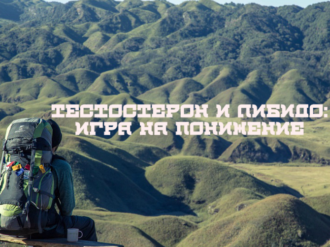 Тестостерон и сексуальная активность