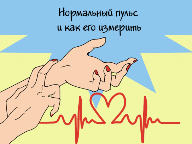 Нормальный пульс и как его измерить