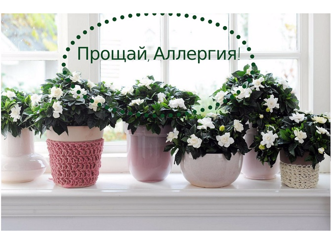 10 неожиданных советов, которые помогут пережить сезон аллергий