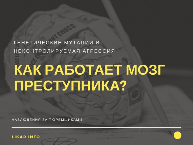 Криминальный мозг: убийцами становятся или рождаются?