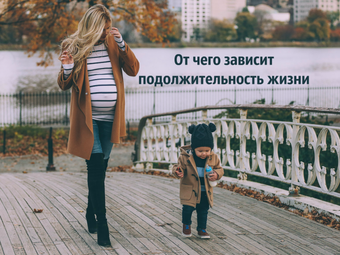 Продолжительность жизни зависит от пережитого нами еще … до рождения