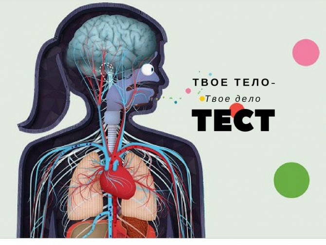 Тест: 13 фактов, которые вы вряд ли знали о своем теле