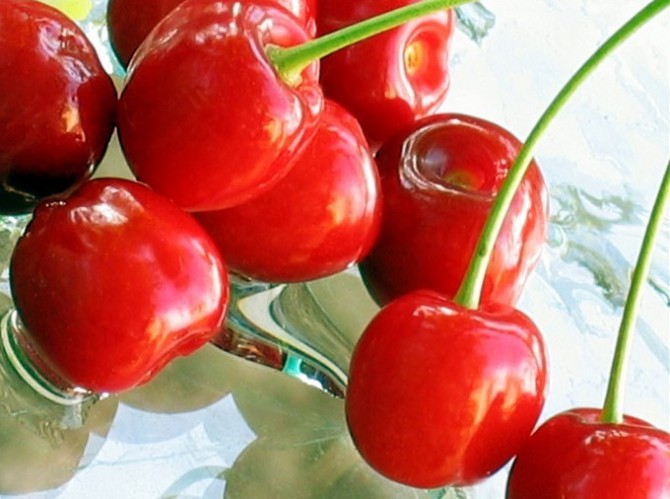 Польза вишни и черешни для здоровья