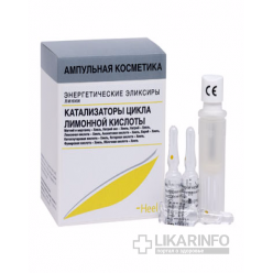Катализаторы Цикла Лимонной Кислоты