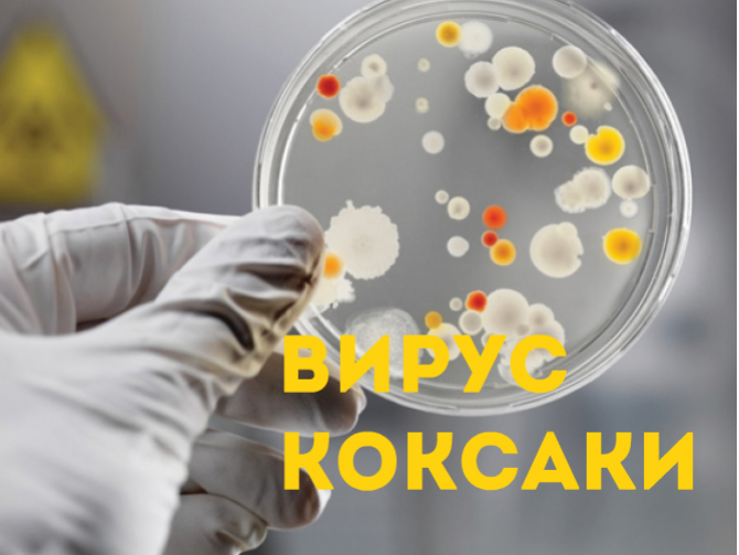 Вирус Коксаки в Украине
