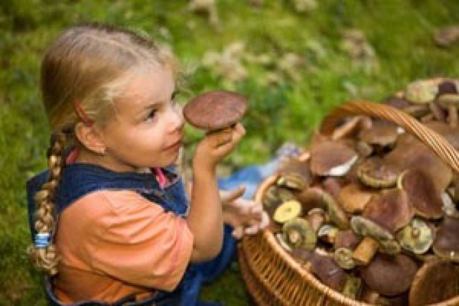 Отруєння грибами небезпечне для життя і вимагає якнайшвидшого лікування