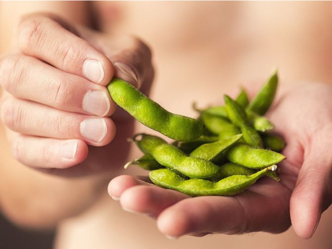 Как соя и соевые продукты влияют на мужское здоровье?