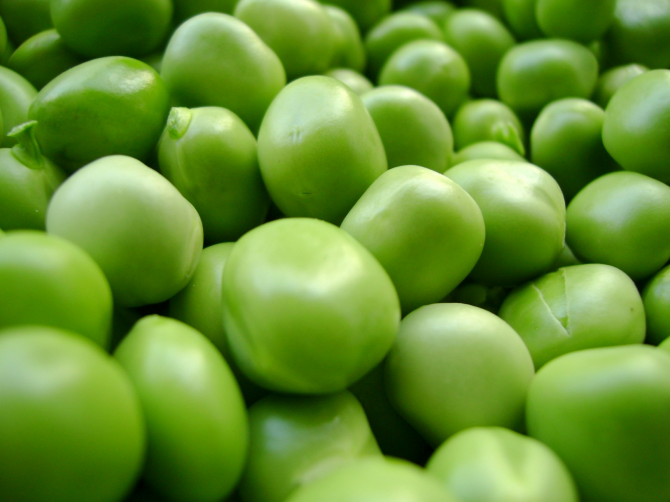 green pea