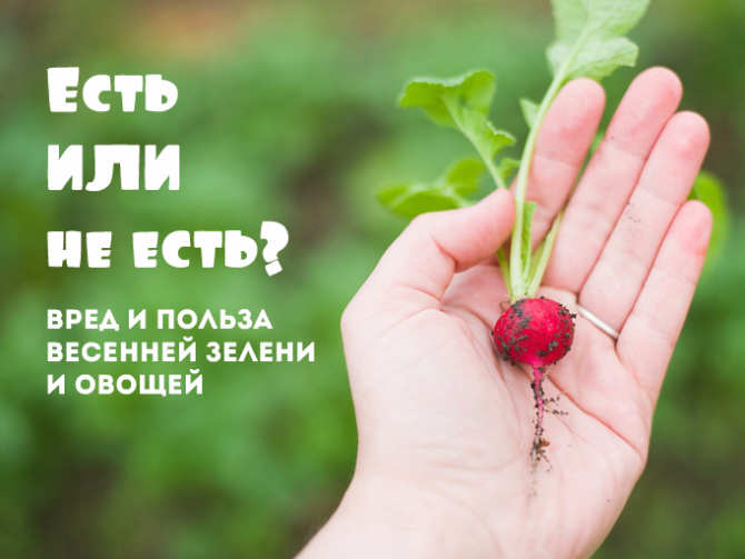 Весенние витамины: есть или не есть?