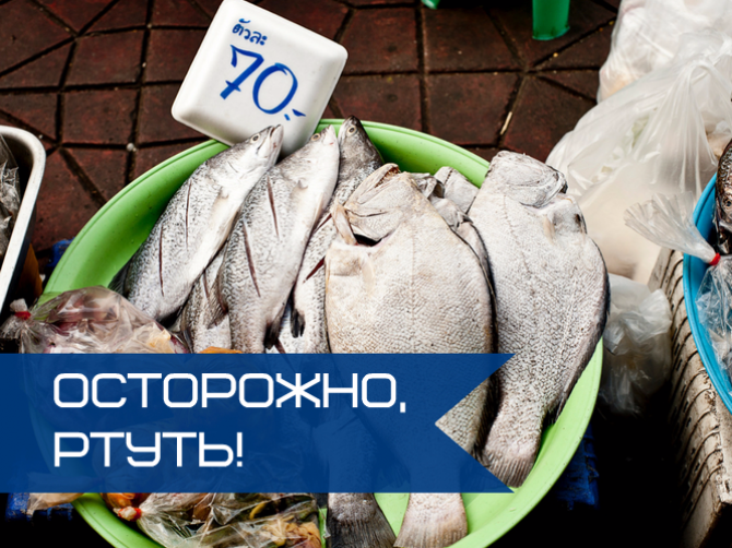 Какую рыбу не стоит есть во время беременности