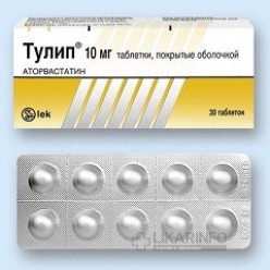 Тулип