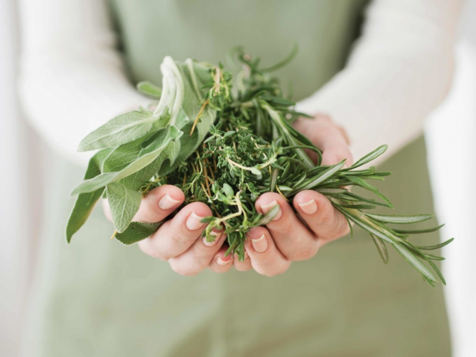 cough and herbs