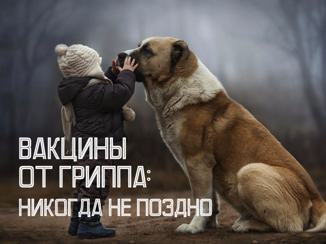 Вакцинация детей от гриппа: для тех, кто еще не успел