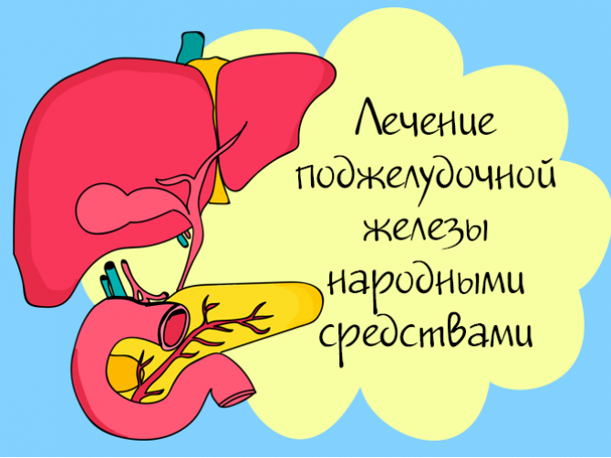 Поджелудочная железа: лечение народными средствами