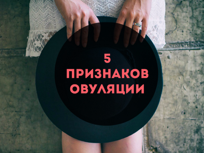 Овуляция: как ее рассчитать