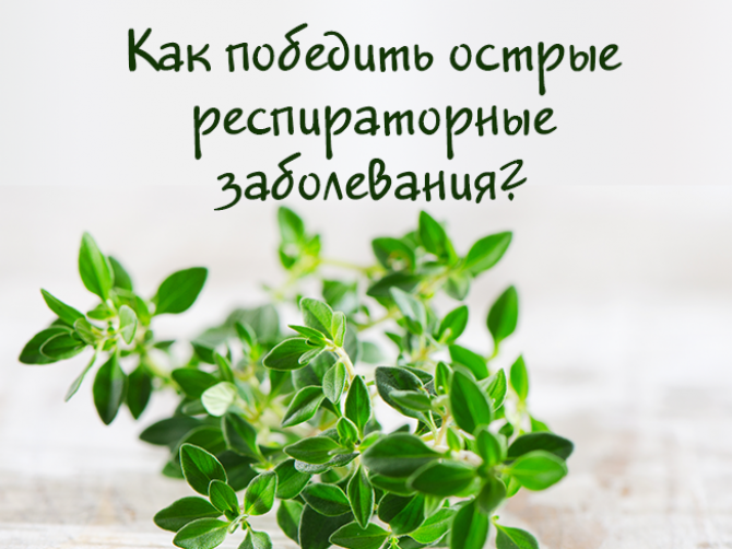 Острые респираторные заболевания – постоянная гибридная война человека и вирусов. Как победить?
