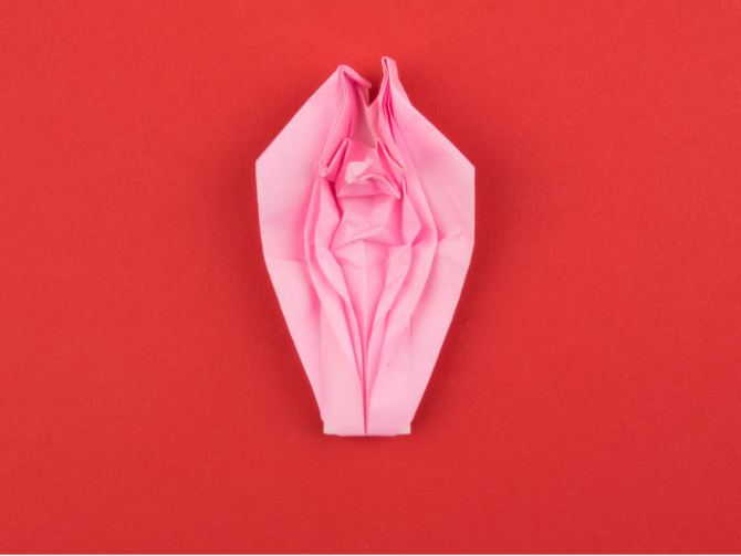 vagina