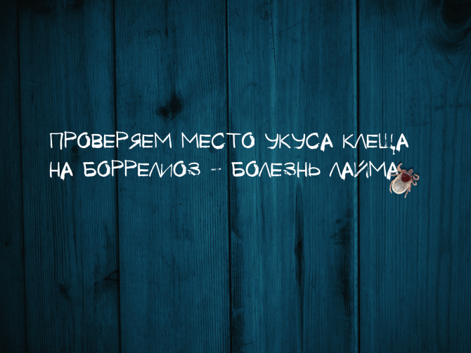 Боррелиоз: фото симптомов