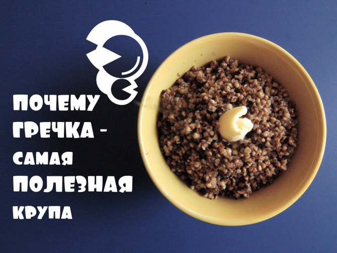 Целительная польза гречихи