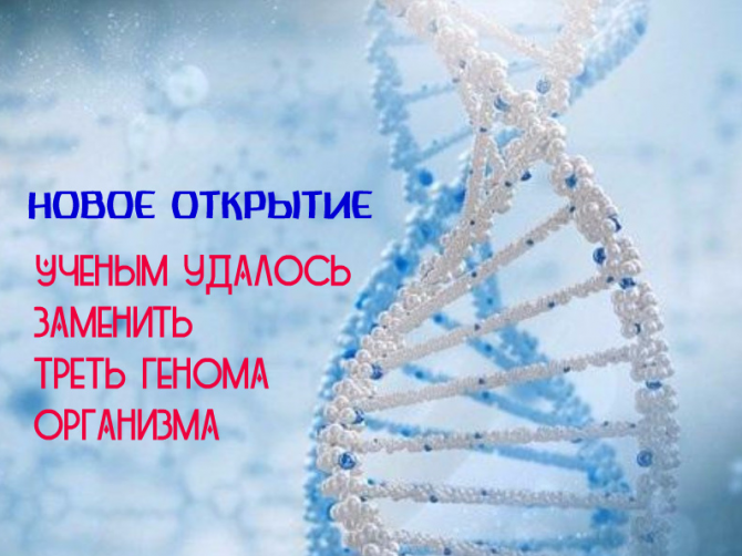 Ученые переписали геном целого вида