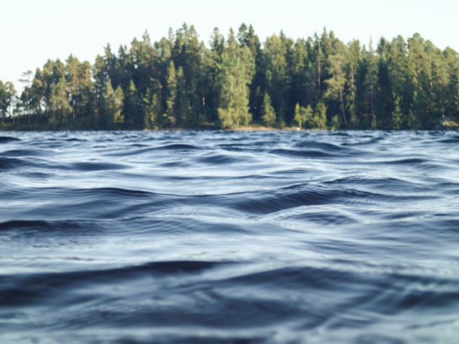 данные о качестве воды