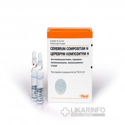 Церебрум композитум Н.
