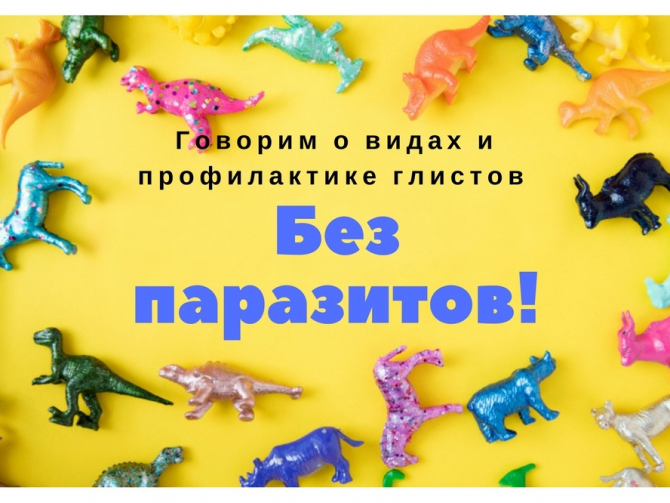 средство от глистов для хорьков средство от глистов для хорьков