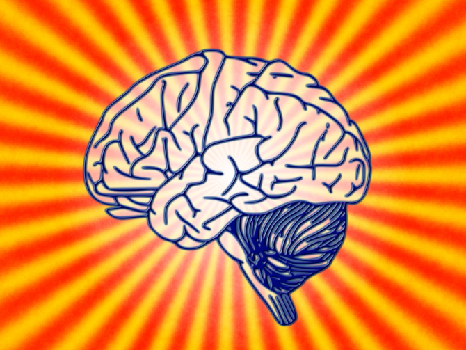 Неделя Мозга в Киеве: почему нельзя пропустить Brain Awareness Week