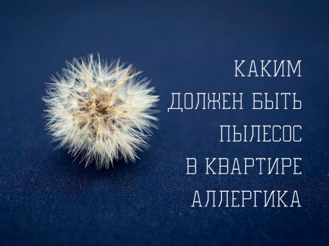 Какой пылесос нужен аллергику