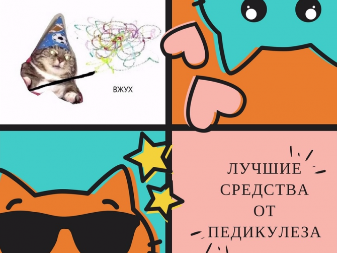 ВЖУХ, и чисто! Все о новых и традиционных методах лечения педикулеза