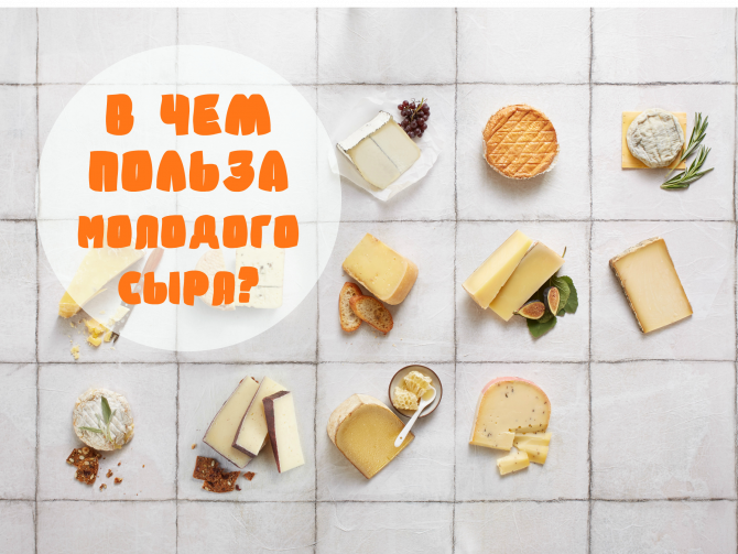 польза молодого сыра