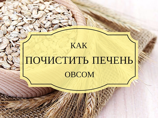 Как чистить печень овсом