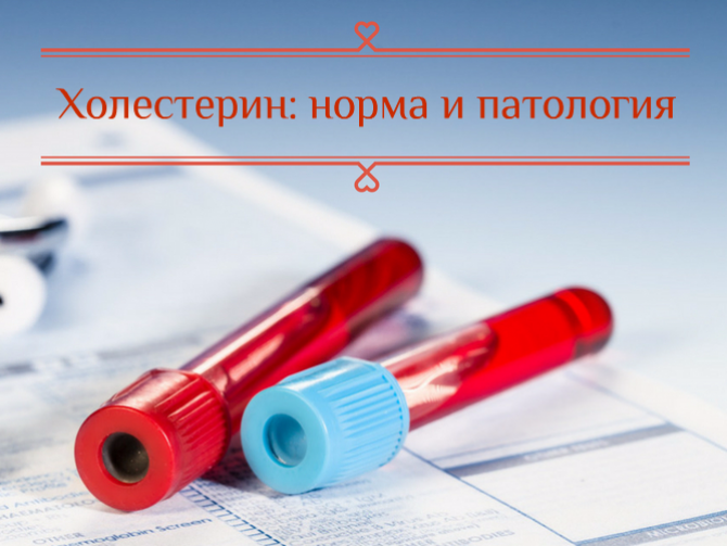 Уровень холестерина в крови: норма, патология и лечение