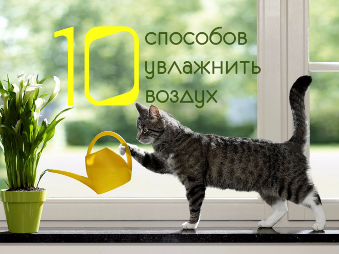 Как увлажнить воздух дома