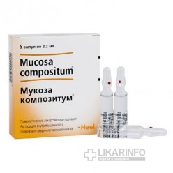 Мукоза