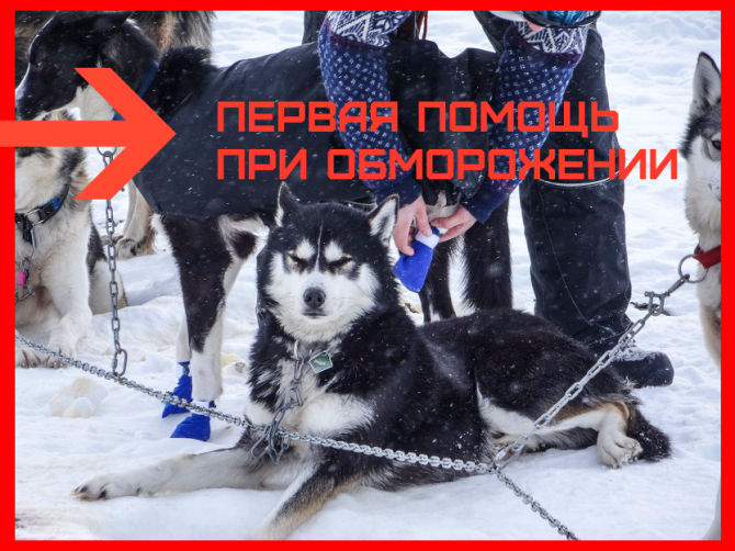 Кто сказал, что получить обморожение можно только на Эвересте?