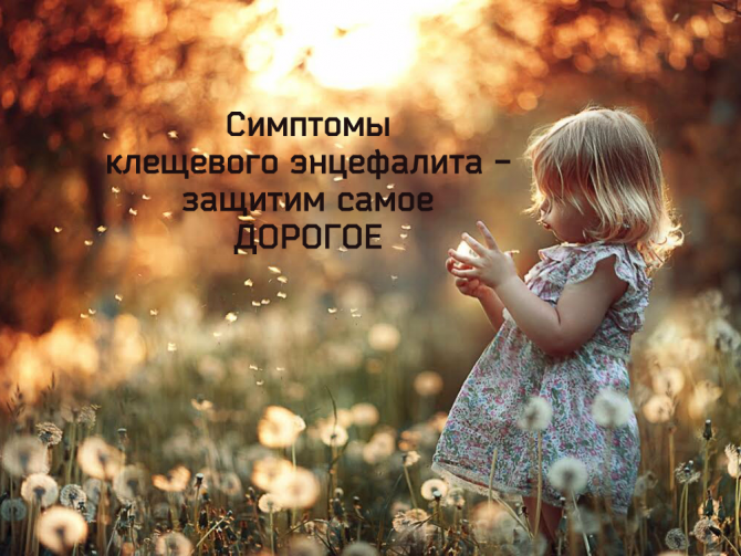 Симптомы клещевого энцефалита у человека. Диагностика и лечение клещевого энцефалита