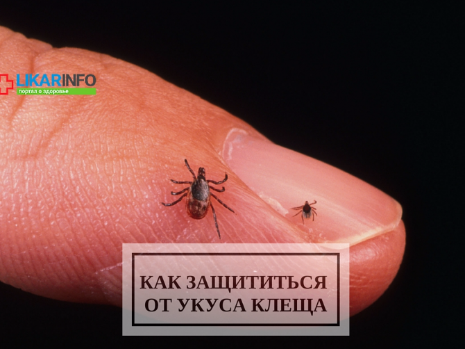 Как защититься от укусов клещей