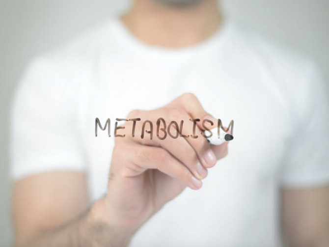 Сезонные продукты для вашего метаболизма